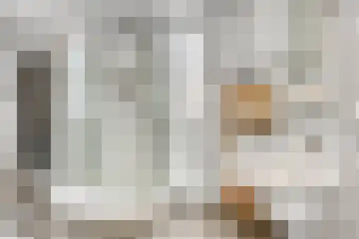 Johannes Vermeerhage 27 Nieuwegein thumbnail 5