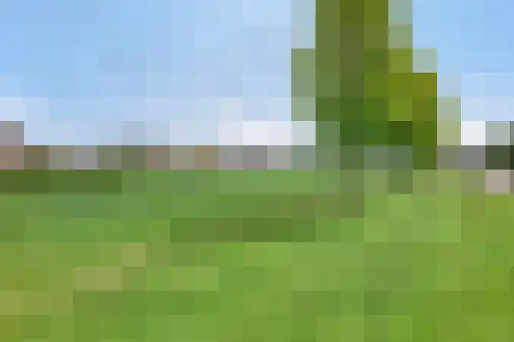 Johannes Vermeerhage 27 Nieuwegein thumbnail 55