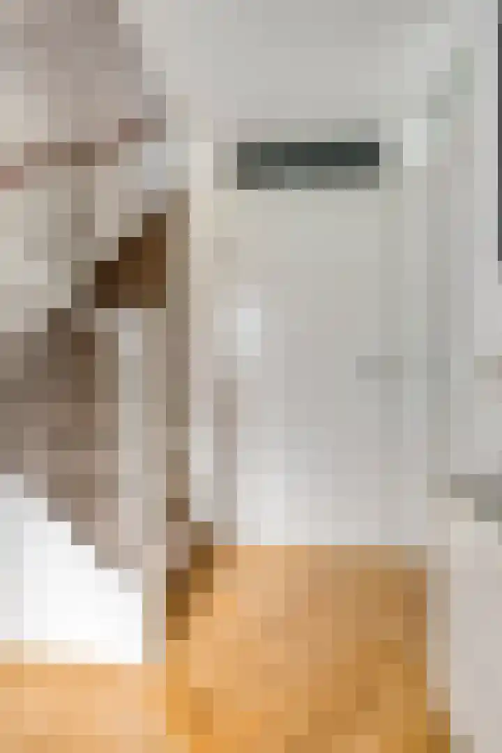 Johannes Vermeerhage 27 Nieuwegein thumbnail 6