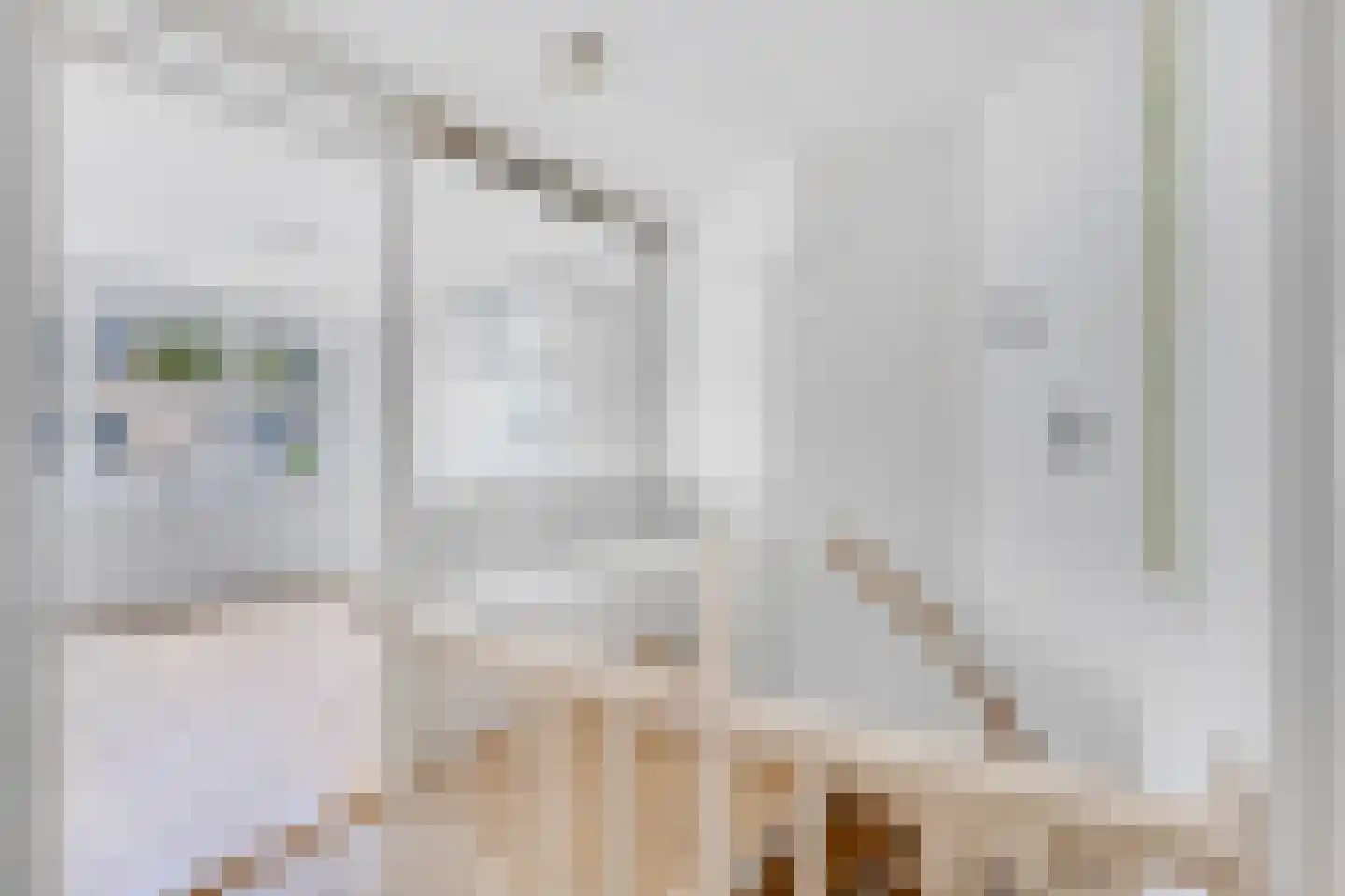 Johannes Vermeerhage 32 Nieuwegein thumbnail 22