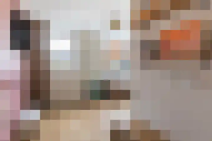 Johannes Vermeerhage 39 Nieuwegein thumbnail 20