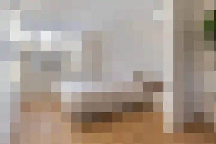 Johannes Vermeerhage 39 Nieuwegein thumbnail 23