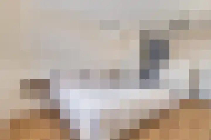 Johannes Vermeerhage 39 Nieuwegein thumbnail 25
