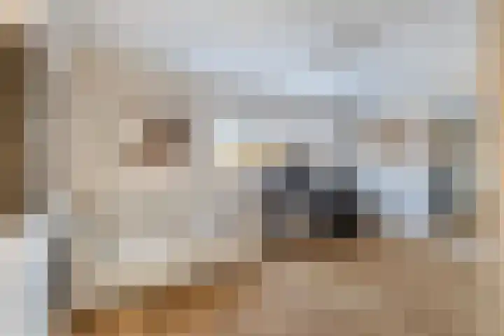 Johannes Vermeerhage 39 Nieuwegein thumbnail 30