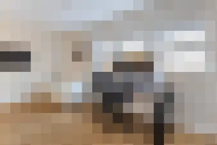 Johannes Vermeerhage 39 Nieuwegein thumbnail 31