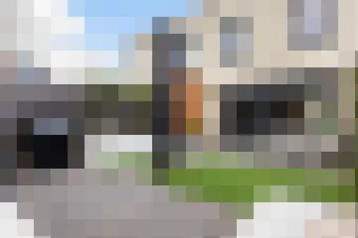 Johannes Vermeerhage 39 Nieuwegein thumbnail 35