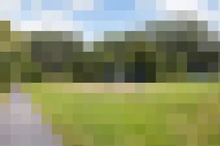 Johannes Vermeerhage 39 Nieuwegein thumbnail 40
