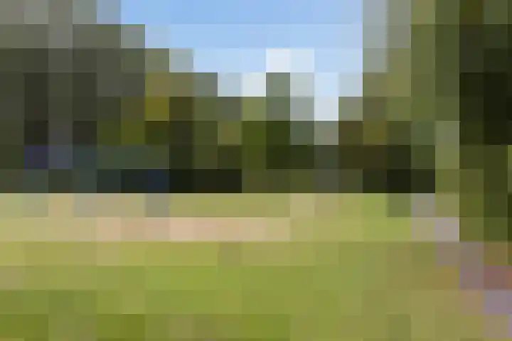 Johannes Vermeerhage 39 Nieuwegein thumbnail 41