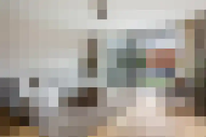 Johannes Vermeerhage 39 Nieuwegein thumbnail 6