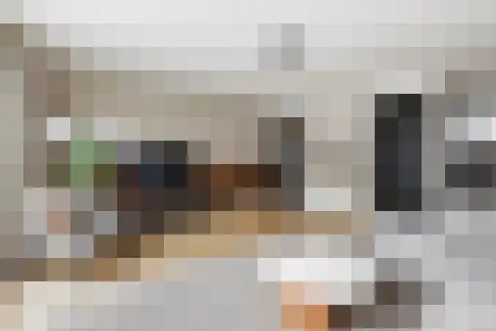 Johannes Vermeerhage 39 Nieuwegein thumbnail 8