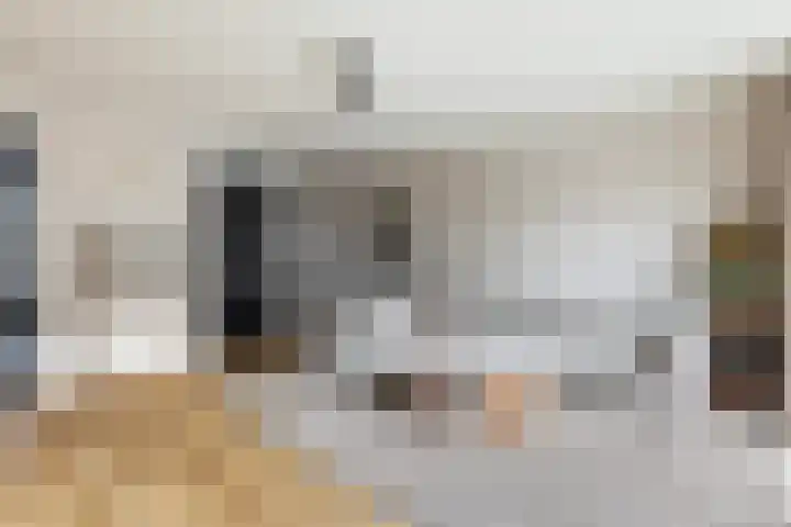 Johannes Vermeerhage 39 Nieuwegein thumbnail 9