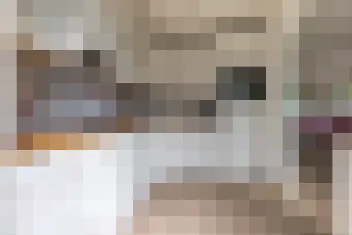 Johannes Vermeerhof 1 Nederhorst den Berg thumbnail 12