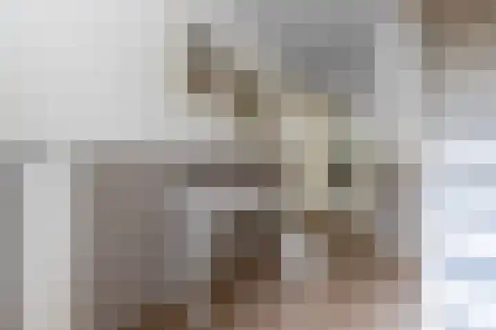 Johannes Vermeerhof 1 Nederhorst den Berg thumbnail 14