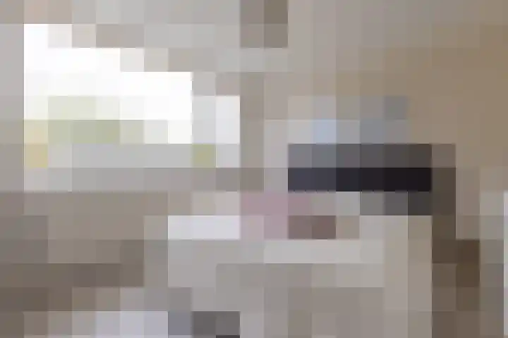 Johannes Vermeerhof 1 Nederhorst den Berg thumbnail 15