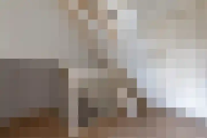 Johannes Vermeerhof 1 Nederhorst den Berg thumbnail 20