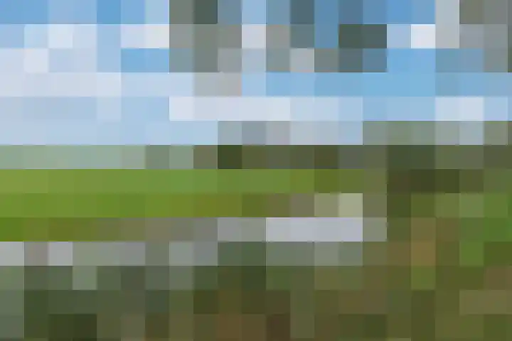 Johannes Vermeerhof 1 Nederhorst den Berg thumbnail 31