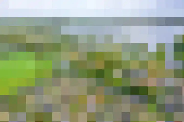 Johannes Vermeerhof 1 Nederhorst den Berg thumbnail 33