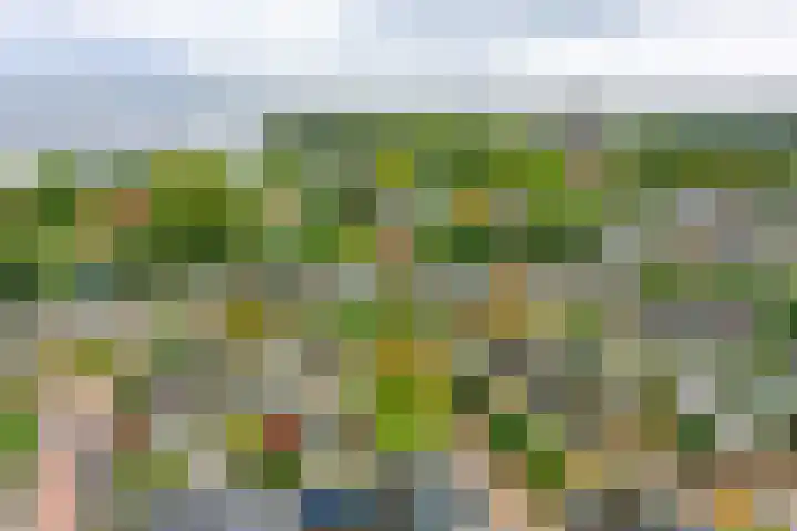 Johannes Vermeerhof 1 Nederhorst den Berg thumbnail 34