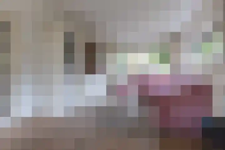 Johannes Vermeerhof 1 Nederhorst den Berg thumbnail 7