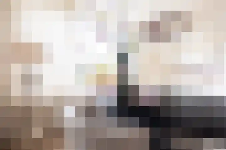 Johannes Vermeerhof 1 Nederhorst den Berg thumbnail 9