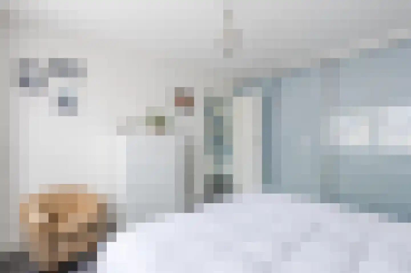 Johannes Vermeerhof 11 Nederhorst den Berg thumbnail 13