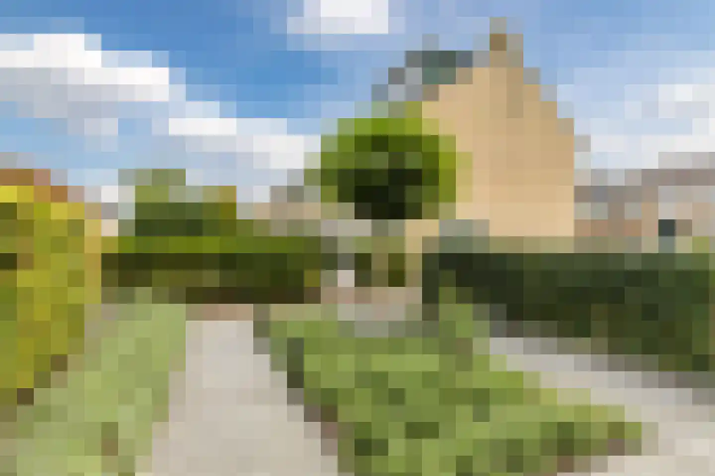 Johannes Vermeerhof 11 Nederhorst den Berg thumbnail 24