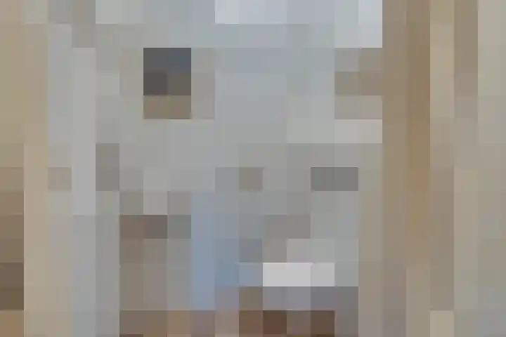 Johannes Vermeerhof 3 Volendam thumbnail 10