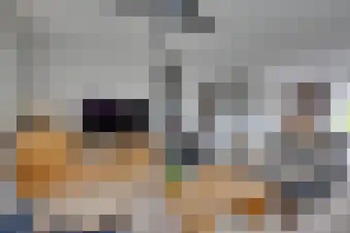 Johannes Vermeerhof 3 Volendam thumbnail 14