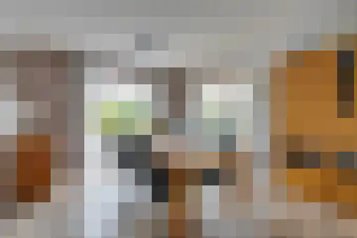 Johannes Vermeerhof 3 Volendam thumbnail 15