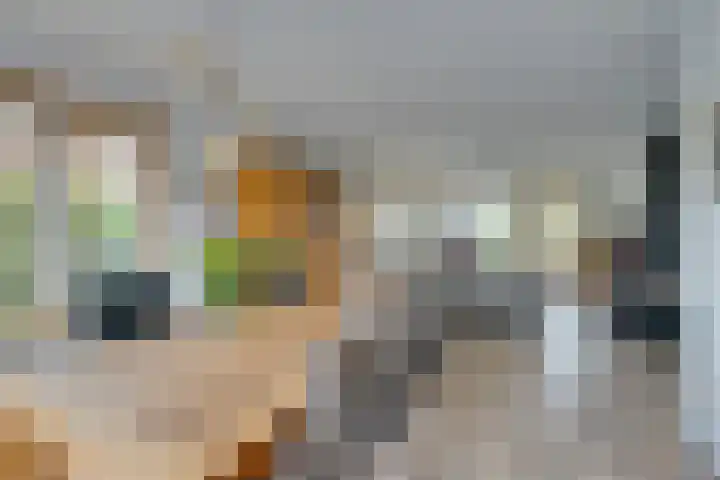 Johannes Vermeerhof 3 Volendam thumbnail 16