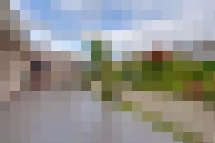 Johannes Vermeerhof 3 Volendam thumbnail 19