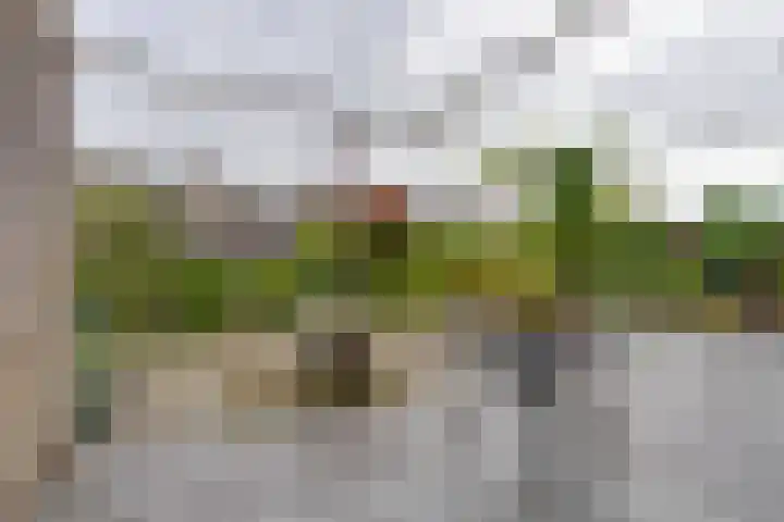 Johannes Vermeerhof 3 Volendam thumbnail 20