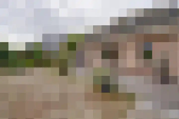 Johannes Vermeerhof 3 Volendam thumbnail 21
