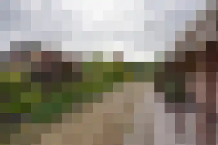 Johannes Vermeerhof 3 Volendam thumbnail 22