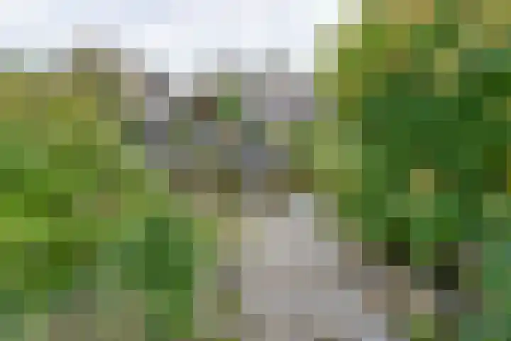 Johannes Vermeerhof 3 Volendam thumbnail 23