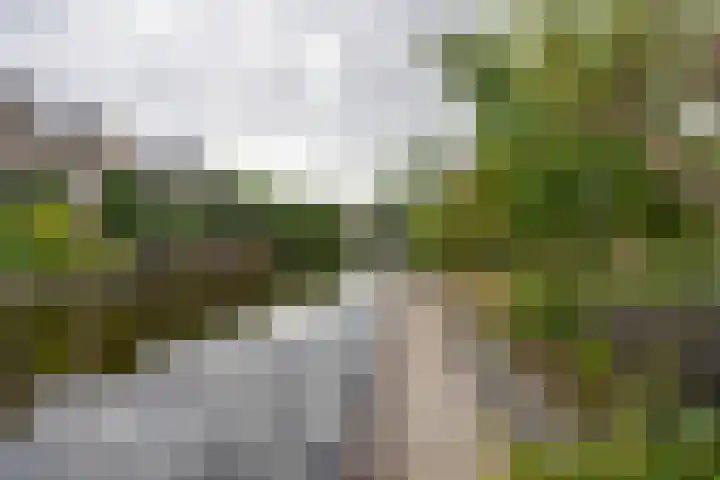 Johannes Vermeerhof 3 Volendam thumbnail 24