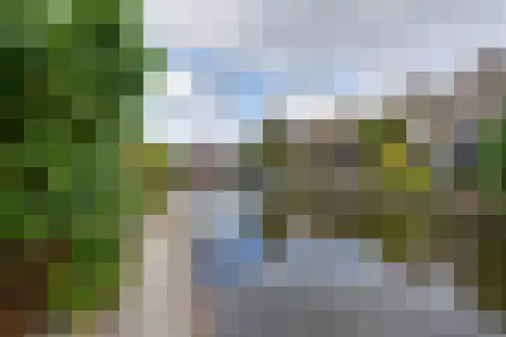 Johannes Vermeerhof 3 Volendam thumbnail 25