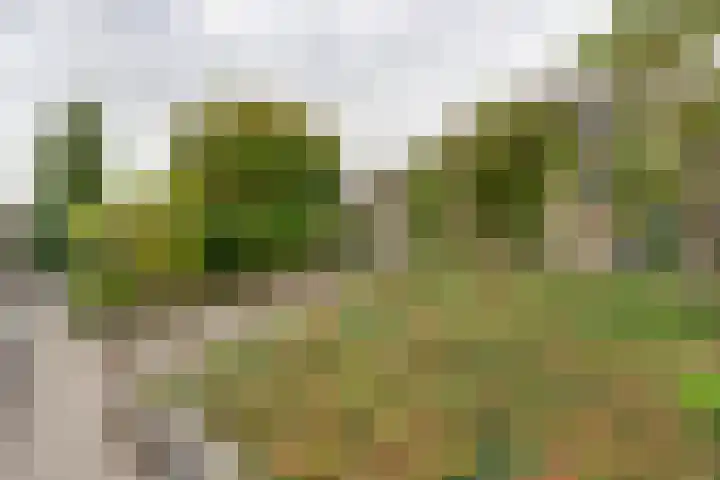 Johannes Vermeerhof 3 Volendam thumbnail 26