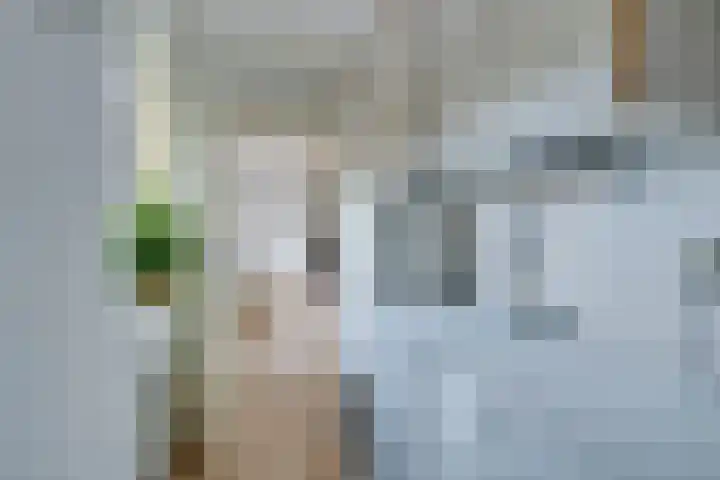 Johannes Vermeerhof 3 Volendam thumbnail 32