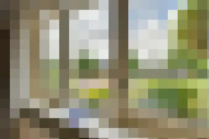 Johannes Vermeerhof 3 Volendam thumbnail 34