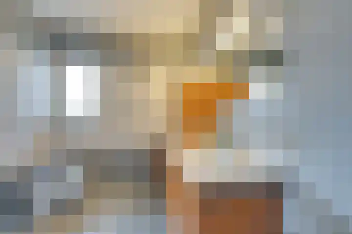 Johannes Vermeerhof 3 Volendam thumbnail 39