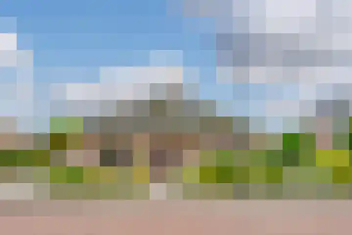 Johannes Vermeerhof 3 Volendam thumbnail 6