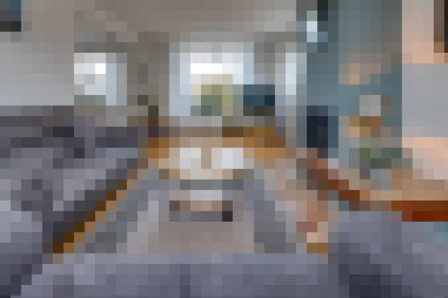 Johannes Vermeerlaan 1 Musselkanaal thumbnail 13