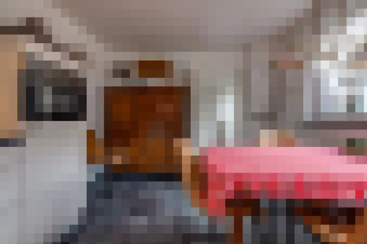 Johannes Vermeerlaan 1 Musselkanaal thumbnail 25