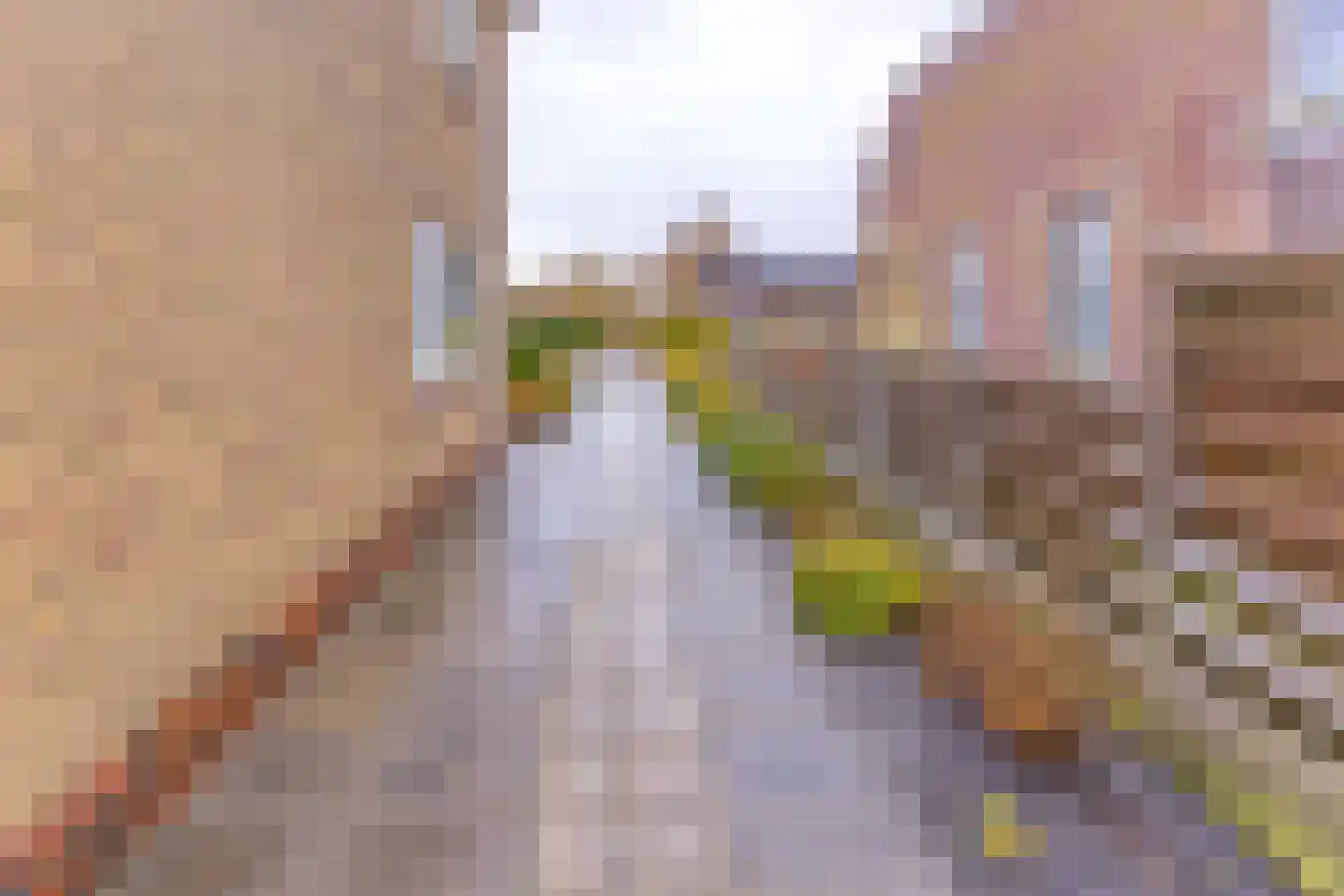Johannes Vermeerlaan 1 Musselkanaal thumbnail 40