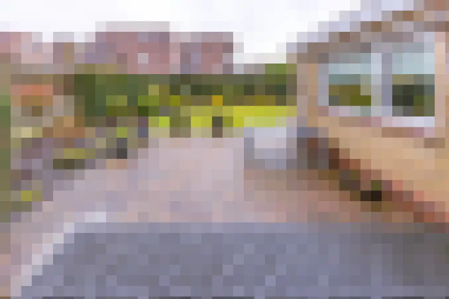 Johannes Vermeerlaan 1 Musselkanaal thumbnail 44