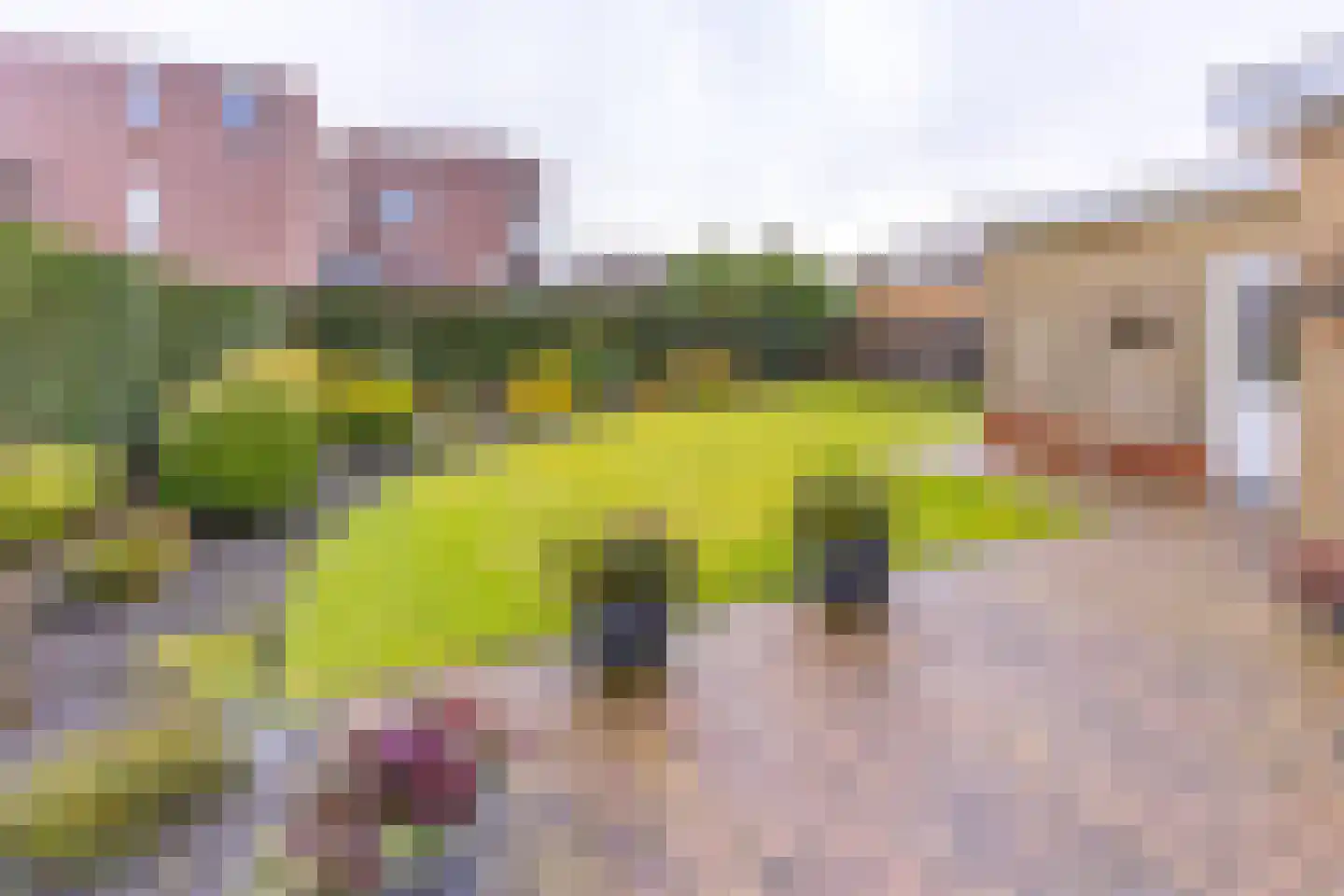 Johannes Vermeerlaan 1 Musselkanaal thumbnail 45