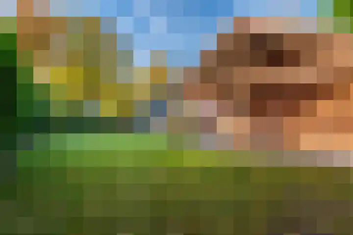 Johannes Vermeerlaan 1 Nieuwe Pekela thumbnail 11