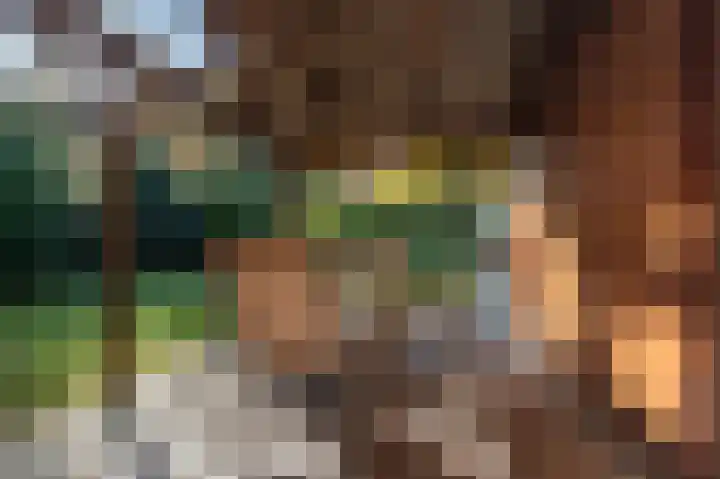 Johannes Vermeerlaan 1 Nieuwe Pekela thumbnail 13