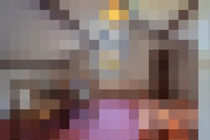 Johannes Vermeerlaan 1 Nieuwe Pekela thumbnail 35